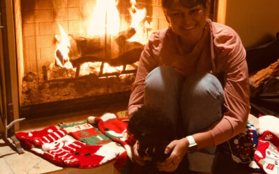 What do you have this holiday season?